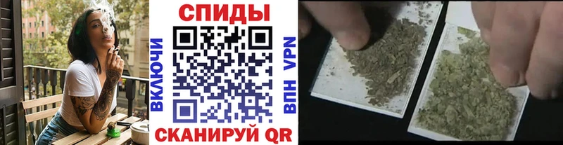mega как зайти Старица БУТИРАТ 99%