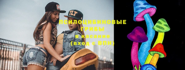 спиды Богданович