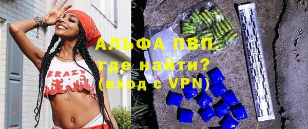 спиды Богданович
