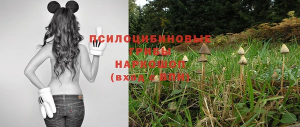 прущие крисы Богородск
