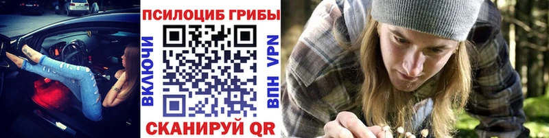 Псилоцибиновые грибы MAGIC MUSHROOMS  сколько стоит  Старица 